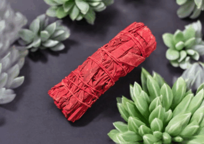 Dragon's Blood Sage Smudge Stick